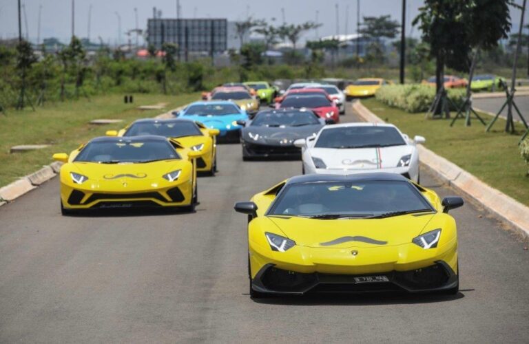Lamborghini Bull Runs